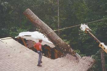 Cleaning Up After the Storm