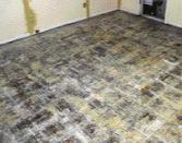 After removing linoleum tile and scraping away the loose mastic from this wood underlayment.