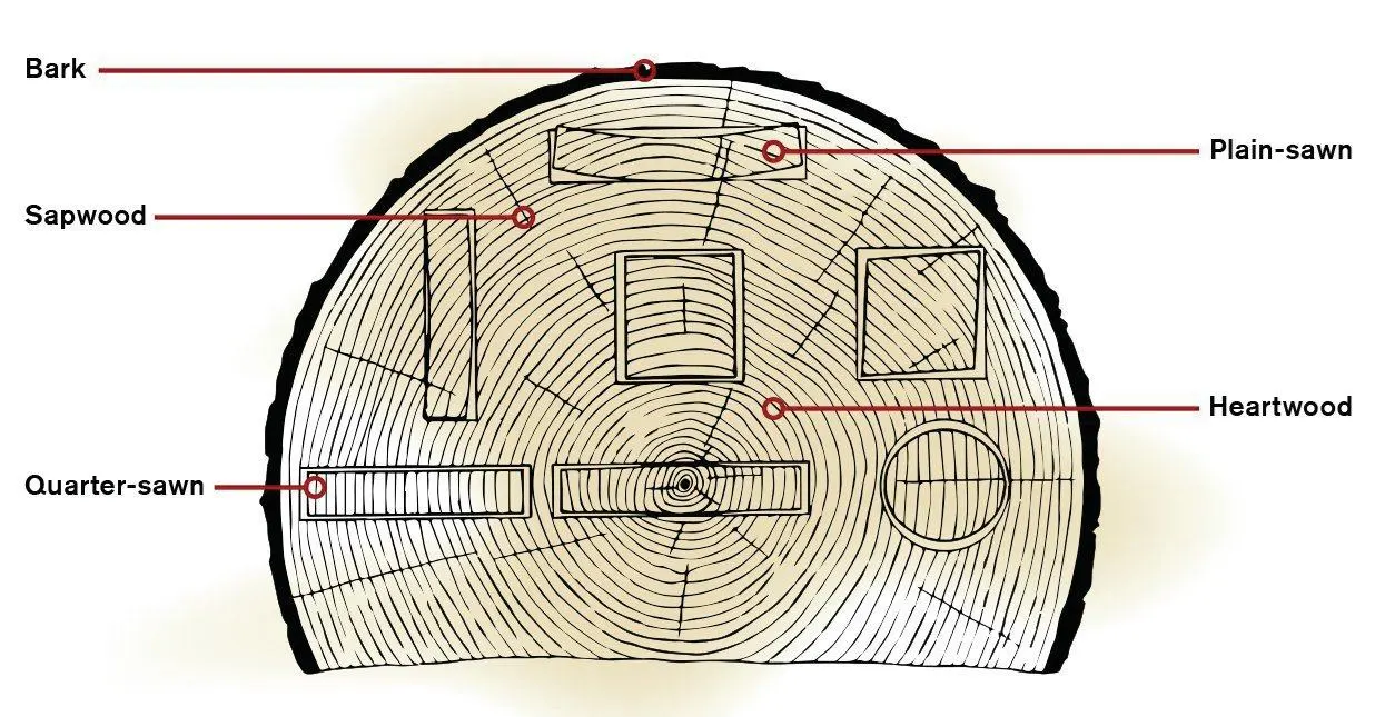 Understanding Wood