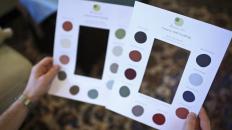 Devine Color Discovery Cards offer a unique way to explore color at home. (PRNewsFoto/Gretchen Schauffler)