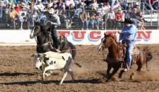 Example of Team Roping competition in a rodeo