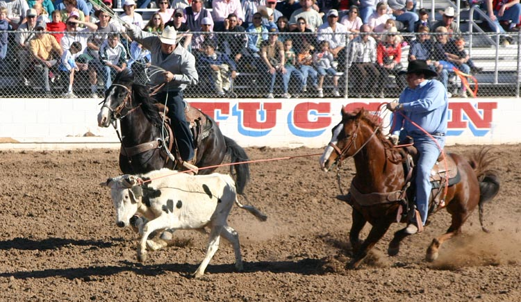 Example of Team Roping competition in a rodeo