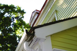 The gutter’s ends were rotted, and their end caps missing.