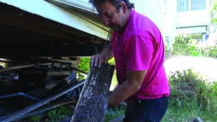 “V Rustic” lap siding is rotted.