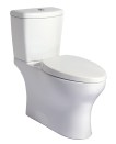 Niagara's Phantom toilet