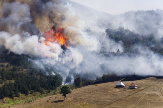 43% of new homes built between 1990 and 2010 occupy Wildland-Urban Interface (WUI) areas