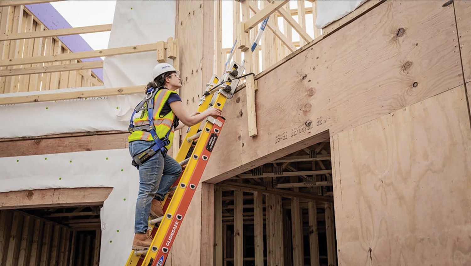 Ladder Safety Accessory
