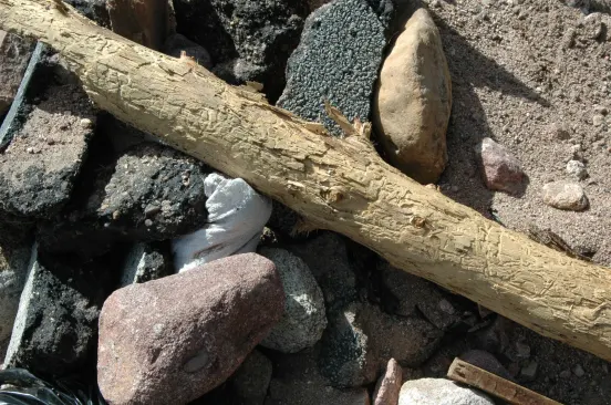Pine logs washed down from the mountains above Boulder were stripped of bark and deeply scarred by the time they wound up on the city’s streets.
