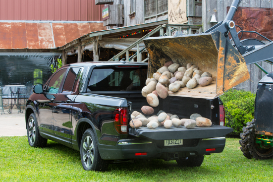2019 Honda Ridgeline