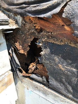 This is what the wall looked like when the gutter and the siding near the roof were removed.