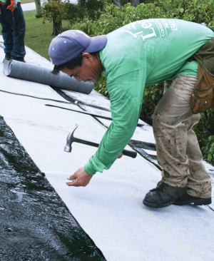 A row of metal cap nails along the top edge holds the felt in place while the asphalt cools and cures.