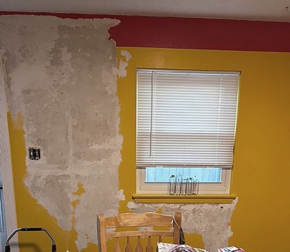 Outdoor humidity levels are high in the author’s region, and it’s not uncommon for moisture diffusing through the exterior to condense on the back of an interior wall, causing paint to blister in larger areas.