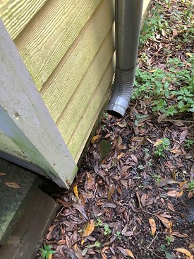 In addition to the siding being too close to grade here, the gutter downspout is dumping water on and under the building.