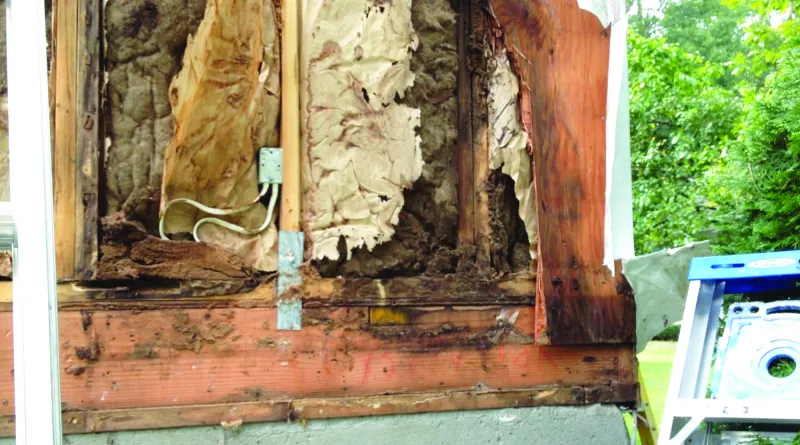 To fix the problem, the author first had to strip away and replace the siding and sheathing.