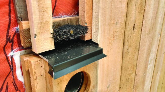 Gaps between the strapping are protected using Roof Saver vent material, but no screening, in order to keep screens from being visible at the spaces between boards.