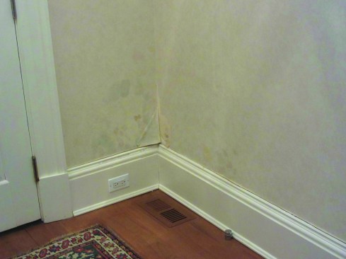 Why are My Kitchen Walls Wet: Causes, Risks & Quick Fixes 3 Why are My Kitchen Walls Wet: Causes, Risks & Quick Fixes