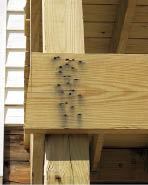 Figure 5. Non-corrosion-resistant nails are inadequate for this connection, no matter how many are used.