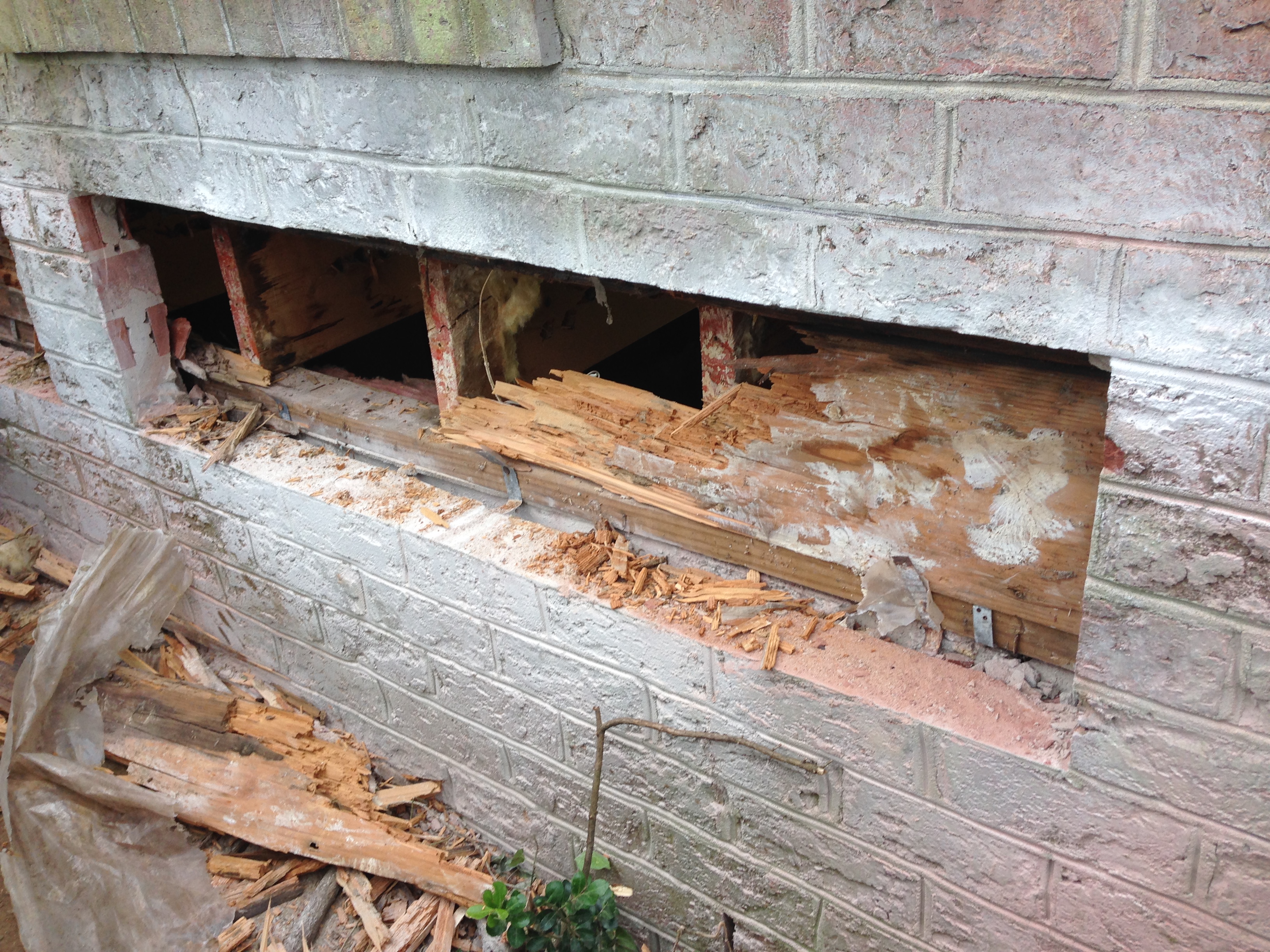 A Builder's Guide to Wood Rot
