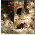 A 10-year-old embedded post treated to the level of UC4A has prematurely decayed where the wood is below ground.