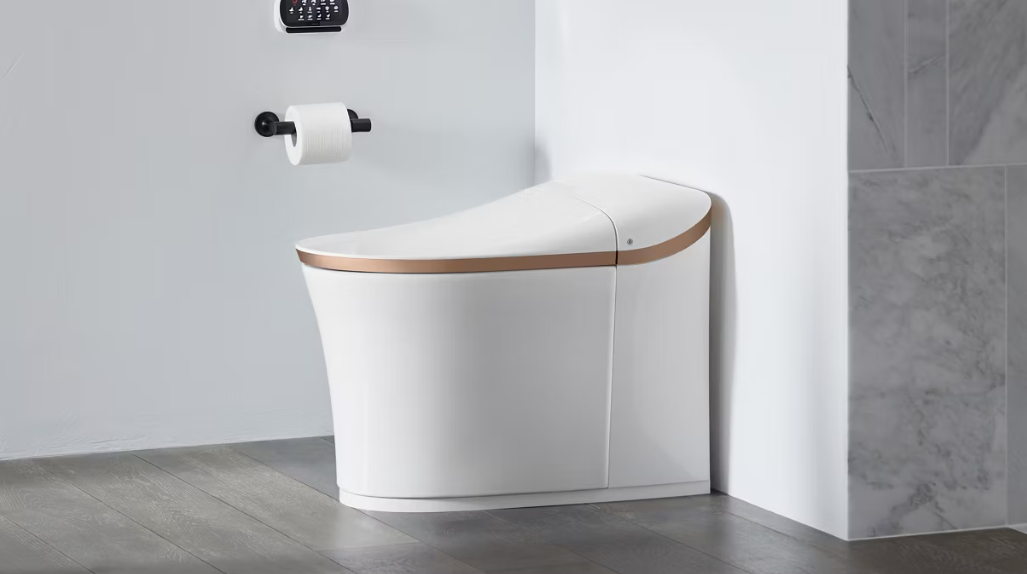 A Smart Installation for a Smart Toilet